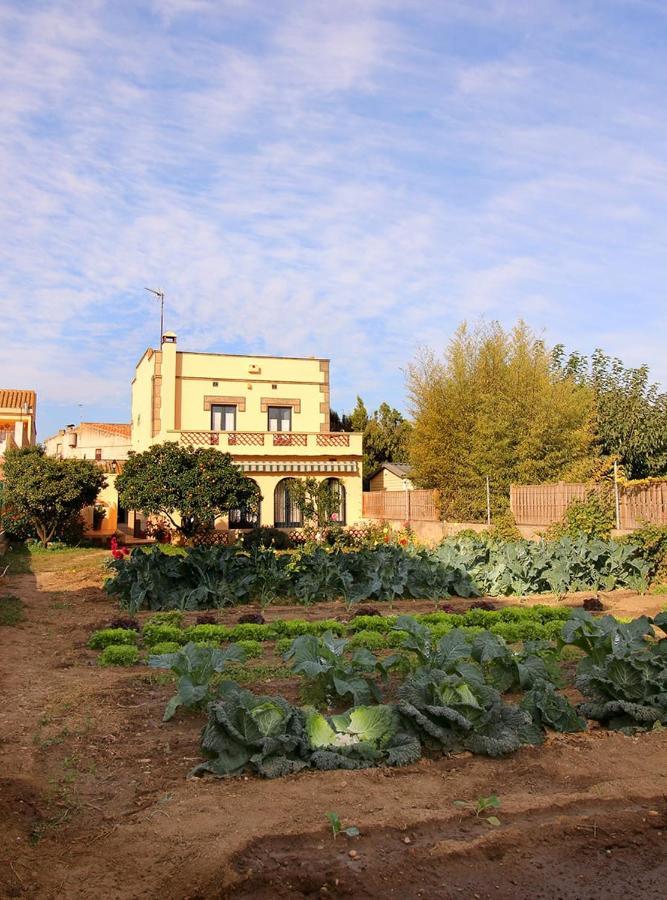 Casa Tapiolas Borrassa Экстерьер фото